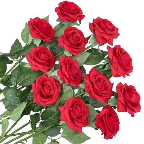12x rosenstrauß 50cm - 12x,