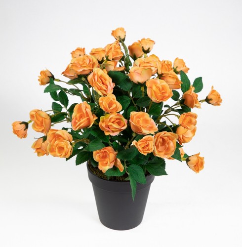 Rosenbusch 30cm orange - , im