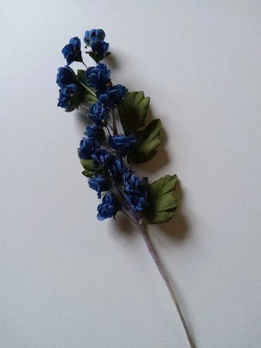 Rosen blütenstiel blau - rosen,