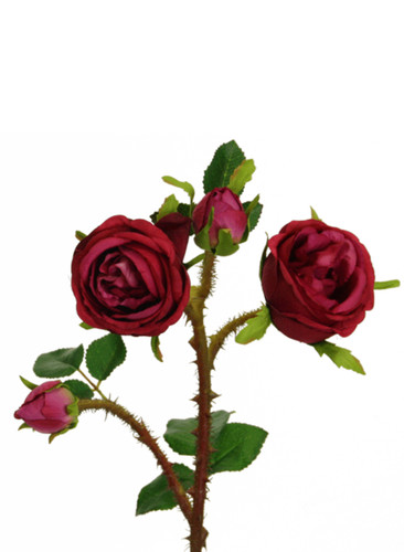Künstlicher rosenzweig - künstlicher,