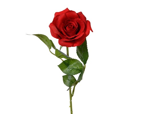 Künstliche rose mit stiel - rose,