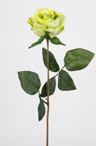 Rose 45cm grün - lm, kunstblumen
